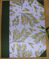 Cartellina mimose