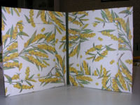 Cornice a libro