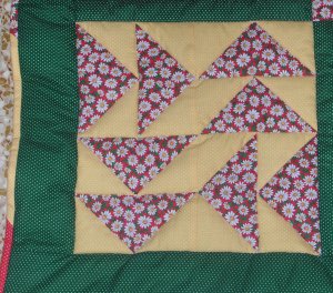 Dutchman's Puzzle - particolare