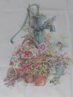 Lanarte - Pump / Bird