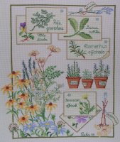 Erbe aromatiche