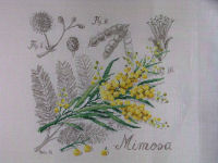 De fil en aiguille - Mimosa