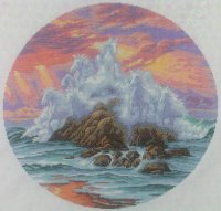Dimensions - Wild Surf